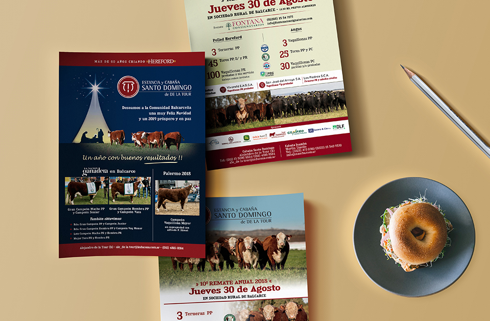 Estancia SAnto Domingo